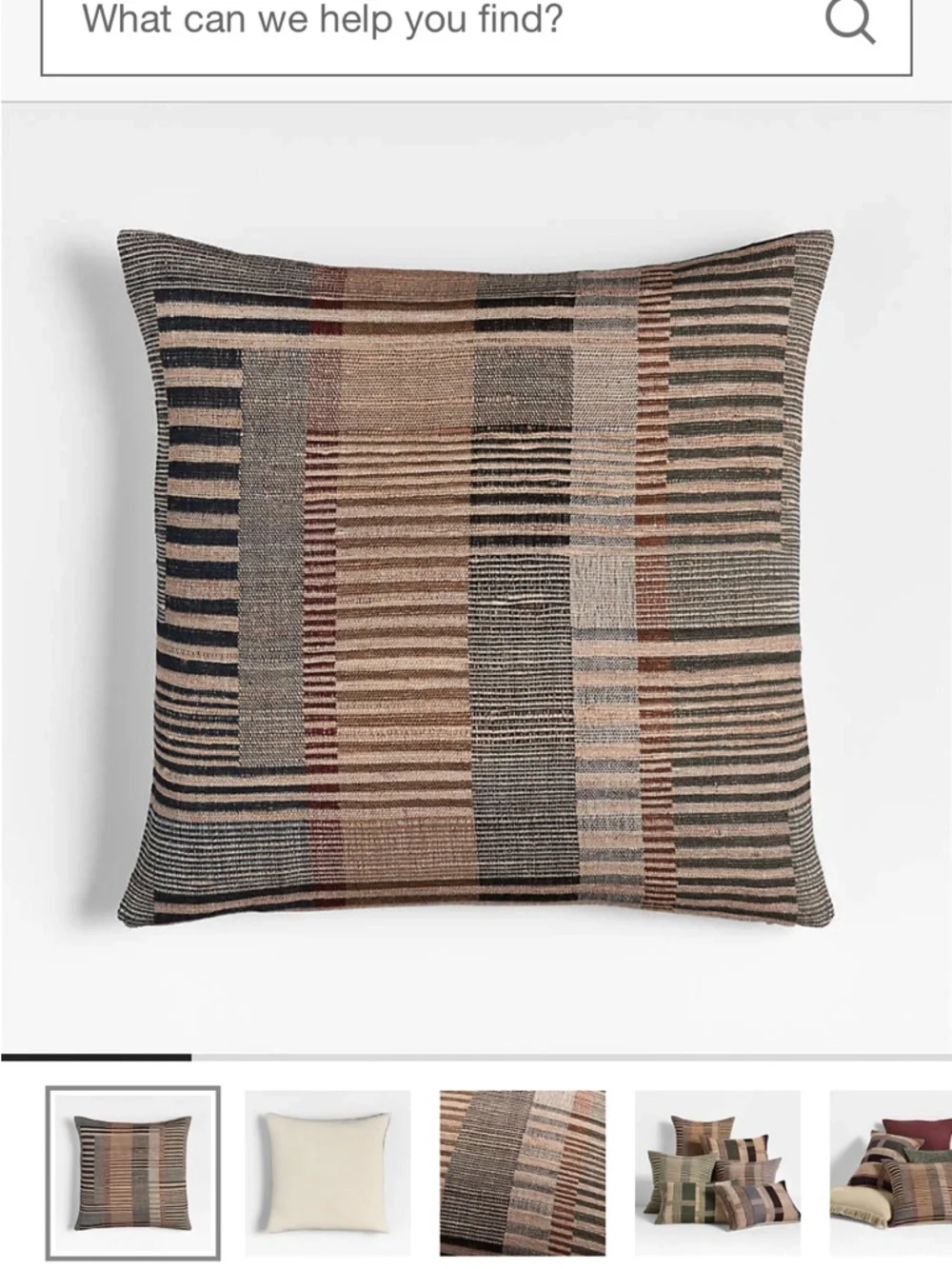 Crate & Barrel Etta silk wool throw pillow and insert